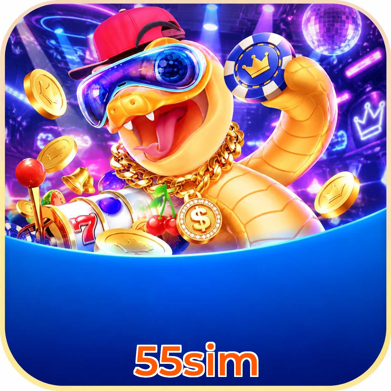 55sim Requirements