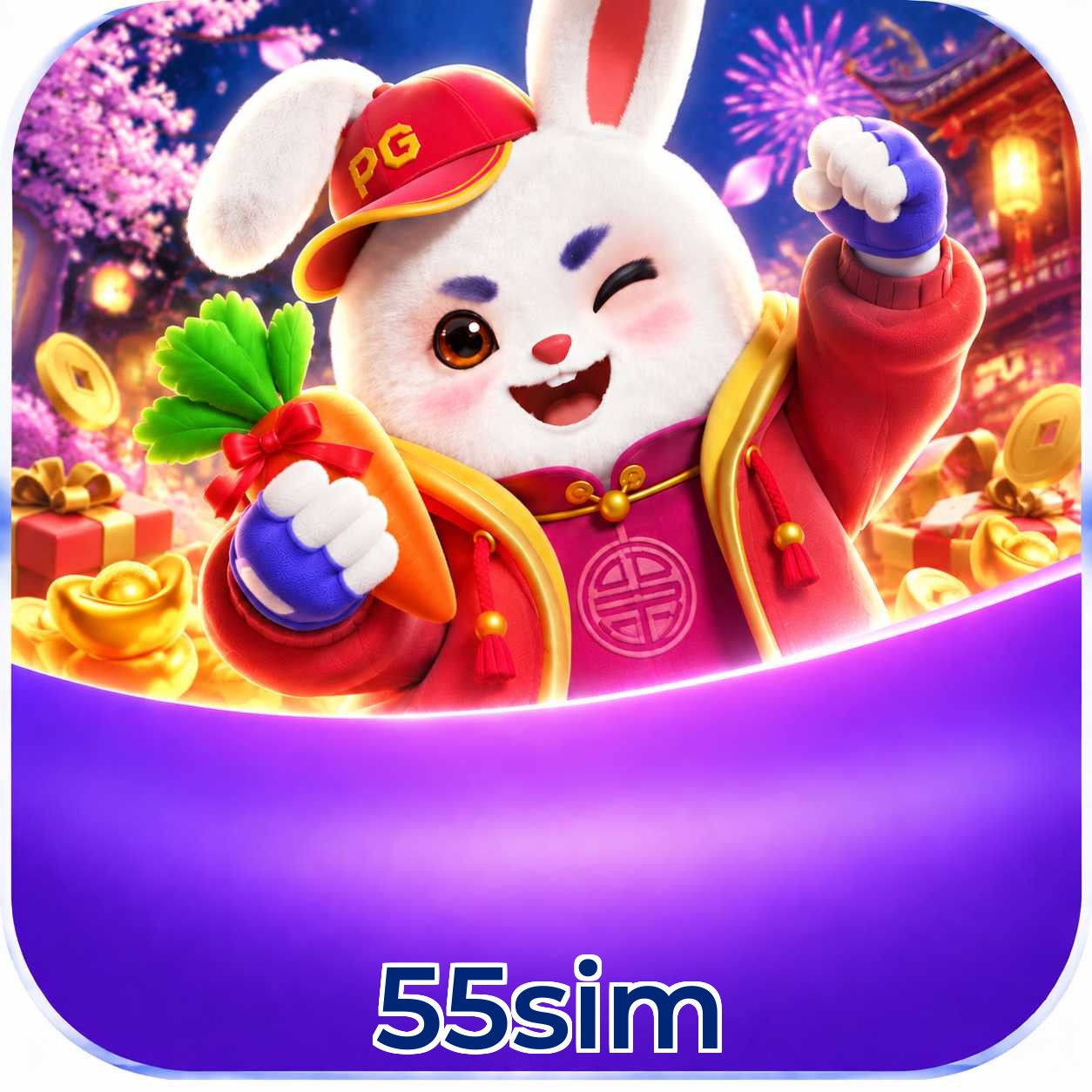 55sim Login FAQ