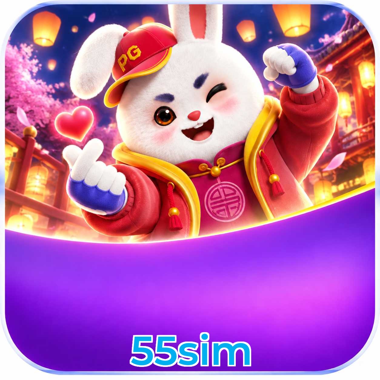 55sim FAQ
